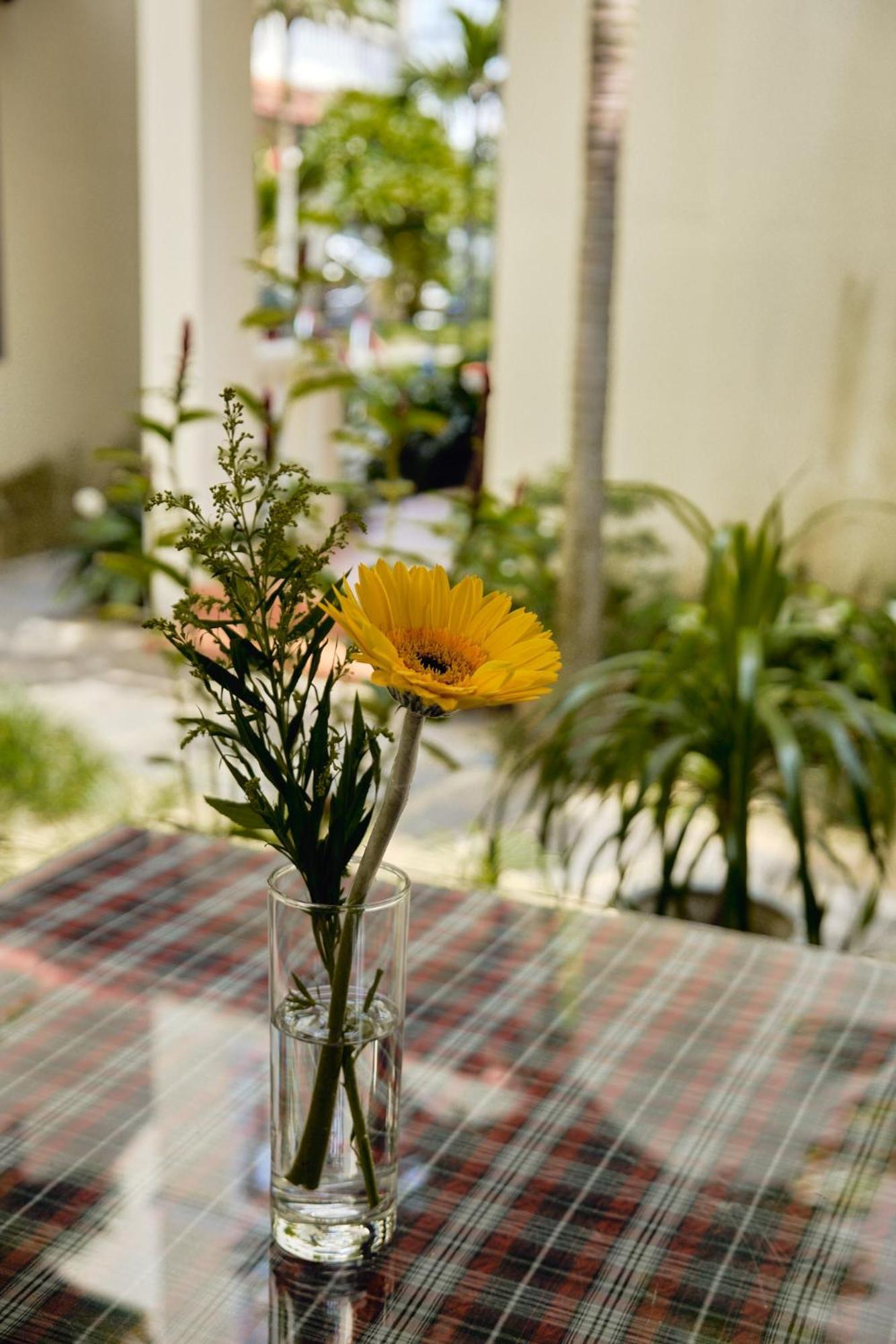 Hoi An Holiday Villa Kültér fotó